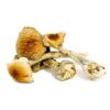 Costa Rican Magic Mushroom for sale in San Francisco, Buy Costa Rican Magic Mushroom Online in San Francisco