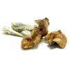 Buy Ecuadorian Mushrooms for sale San Francisco